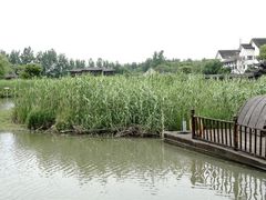 -沙家浜风景区