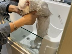 -萌兽医馆·绝育·24小时内科·宠物医院(德胜店)