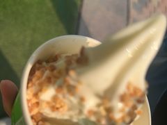 -Salud撒露欧洲冻酸奶(蓝色港湾店)