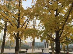 -百林公园-两江幸福广场
