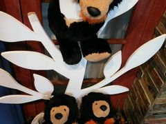 -济州岛泰迪熊博物馆