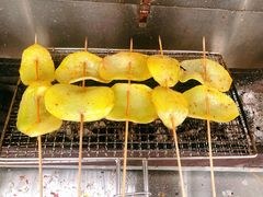 -第五季龙水凤港生态露营农场