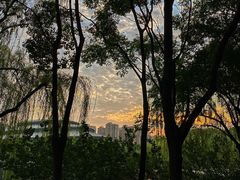 -杭州城北体育公园