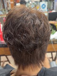 -T.1 hair salon烫染接发