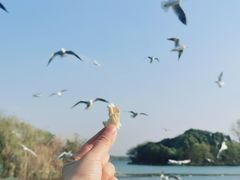 -渤公岛生态公园