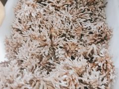 -畲乡一品鱼府土菜馆