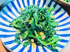 蒜泥莴笋尖-树厨贵州菜(花果园购物中心店)