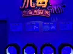 -皇家海洋乐园