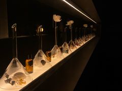 -安屿an·spa(卓悦中心商场店)