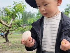 -乌村