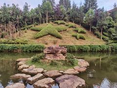 -全国青少年井冈山革命传统教育基地