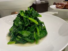清炒豌豆尖-四季民福烤鸭店(王府井东安门店)