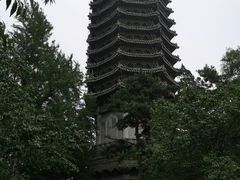-勺园中餐厅