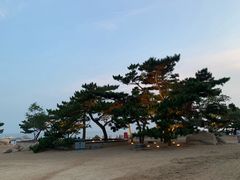 -老虎石海上公园