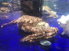-盒马鲜生(新都心店)