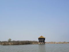 -宁波杭州湾国家湿地公园