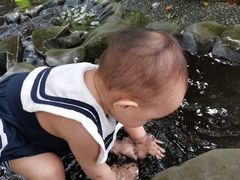 -成都市活水公园