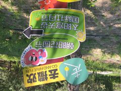 -太阳宫公园