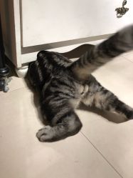 -幸运7纹身刺青Lucky7tattoo