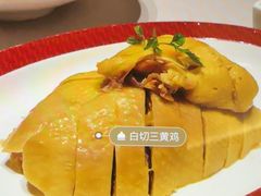 -圆苑(静安寺店)