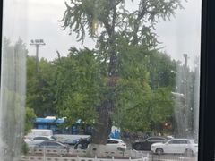 -扬州狮子楼·非遗淮扬菜(东关街店)
