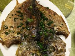 黄花鱼-惠来大排档(联创商业街店)