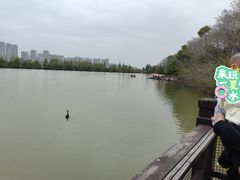 -艾溪湖湿地公园