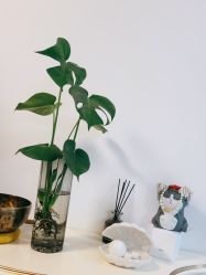 -美肤盾祛痘·问题肌头疗管理中心