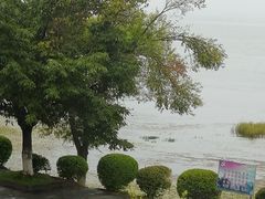 -野菌皇海景野生菌火锅(滨海大道店)