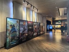 -SFC上影影城(港汇永华IMAX激光店)