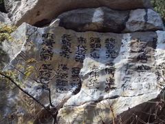 -原山国家森林公园