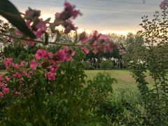 -四里河滨水生态公园