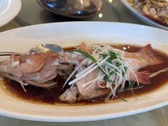 清蒸东星斑-锦江都城闵行饭店