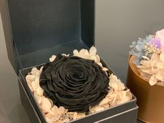 -DK45丹麦家居生活馆·依诺维绅(798店)