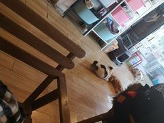 大堂-Cappucimeow猫咪咖啡馆(韦伯时代店)