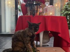 -EATALIA意塔利意式餐厅(鼓楼店)