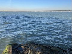 -阳澄湖半岛旅游度假区