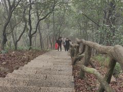 -梧桐山风景名胜区