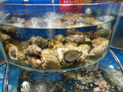 -晓伟海鲜家常菜