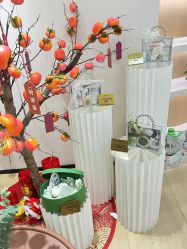 -skin79皮肤管理中心