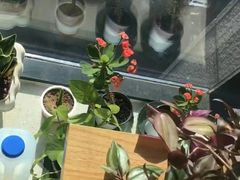 -美睦爱家·高端月嫂·育儿嫂·保姆家政服务