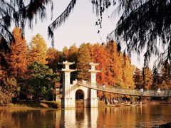 -东湖落雁景区