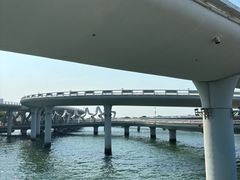 -演武大桥观景平台