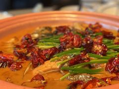 -柿合缘新京菜(国金中心商场店)