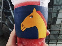 -春丽小马(济南恒隆广场店)