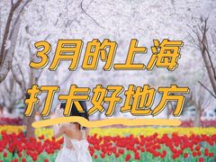 -戴尔DELL电脑官方店·售后维修服务站