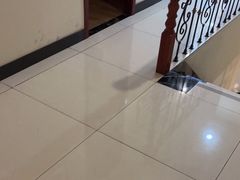 -学子推拿(苏果店)