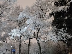 -莫愁湖公园
