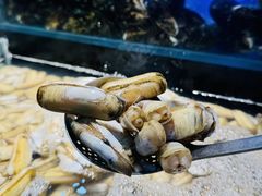 -苏格里岛自助烤肉海鲜火锅(成都金牛万达店)