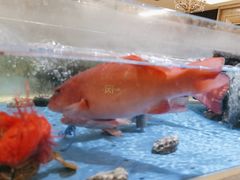 -南景饭店(万家丽路店)